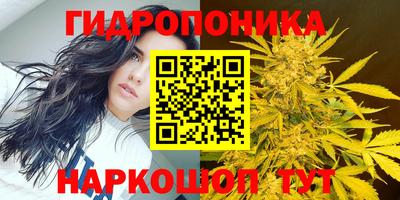 кокс Славгород